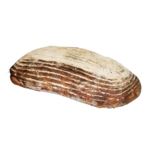 Levainbröd ekologiskt